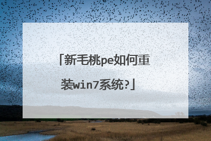 ��ë��pe�����װwin7ϵͳ?