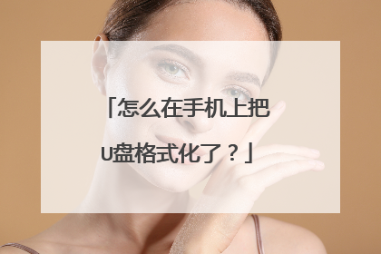 ��ô���ֻ��ϰ�U�̸�ʽ���ˣ�