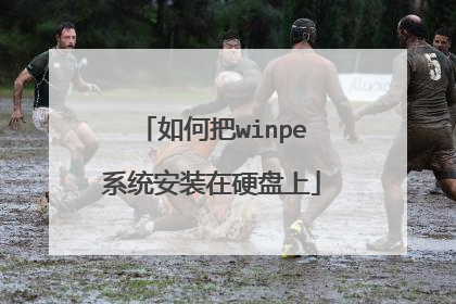 ��ΰ�winpeϵͳ��װ��Ӳ����