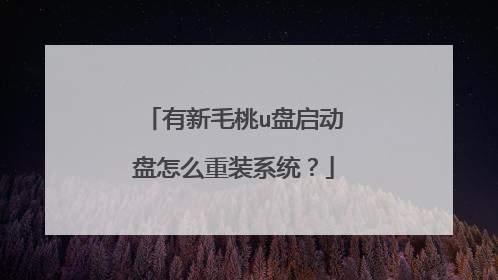 ����ë��u����������ô��װϵͳ��