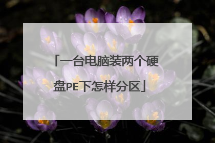 һ̨����װ����Ӳ��PE����������