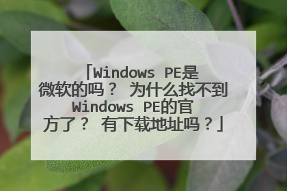Windows PE��΢������ Ϊʲô�Ҳ���Windows PE�Ĺٷ��ˣ� �����ص�ַ��