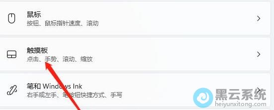 ѡ����������