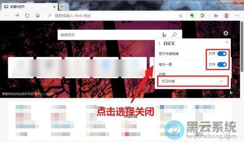 点击选择关闭每日一图和显示快速链接