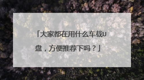 ��Ҷ�����ʲô����U�̣������Ƽ�����