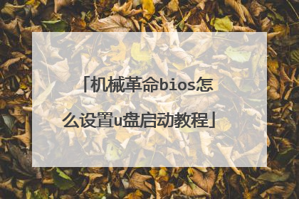 ��е����bios��ô����u�������̳�