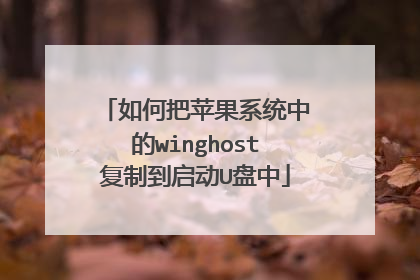 ��ΰ�ƻ��ϵͳ�е�winghost���Ƶ�����U����