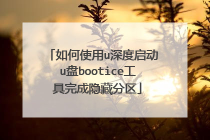 ���ʹ��u�������u��bootice����������ط���