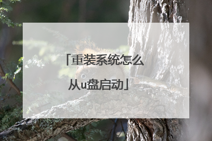 ��װϵͳ��ô��u������