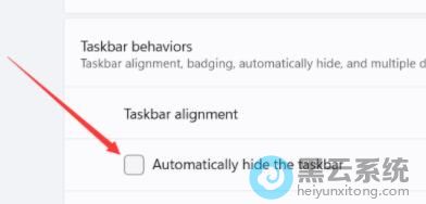 ��ѡAutomatically hide the taskbar