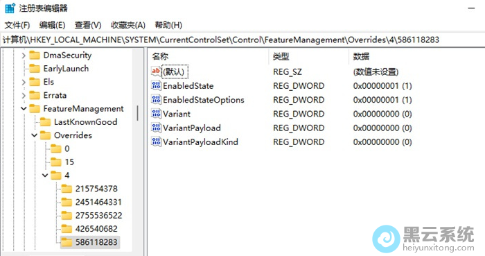 ����5��DWORD