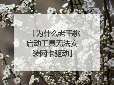 Ϊʲô��ë�����������޷���װ��������