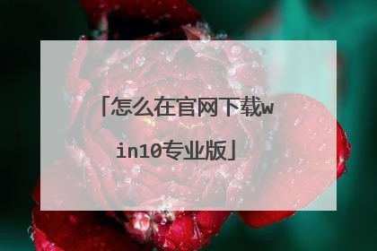 ��ô�ڹ�������win10רҵ��