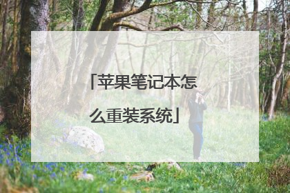 苹果笔记本怎么重装系统