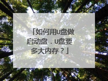 如何用U盘做启动盘.U盘要多大内存?