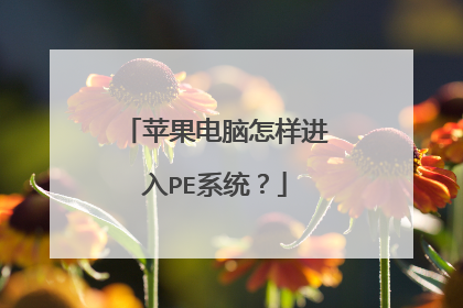 ƻ��������������PEϵͳ��