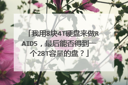 ����8��4TӲ������RAID5������ܷ�õ�һ��28T�������̣�