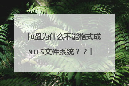 u��Ϊʲô���ܸ�ʽ��NTFS�ļ�ϵͳ����