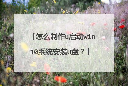��ô����u����win10ϵͳ��װU�̣�