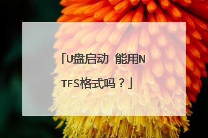 U������ ����NTFS��ʽ��