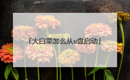 ��ײ���ô��u������