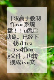 ����ֽ�����macϵͳ�̣���u�������̡��Ѿ�����ultraiso��dmg�ļ���Ҳת����iso�ļ���