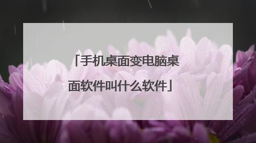 �ֻ�������������������ʲô����