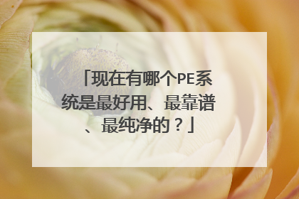 �������ĸ�PEϵͳ������á���ס�����ģ�