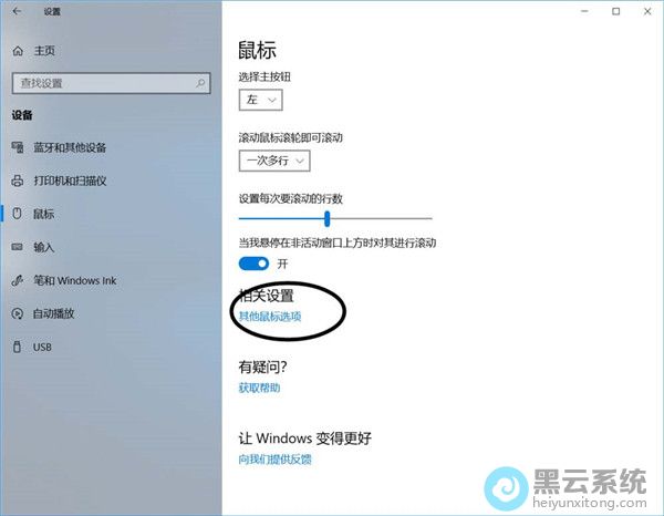 ����������ѡ��