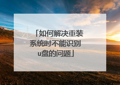 ��ν����װϵͳʱ����ʶ��u�̵�����