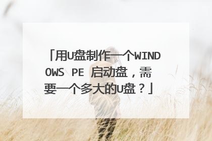 ��U������һ��WINDOWS PE �����̣���Ҫһ������U�̣�