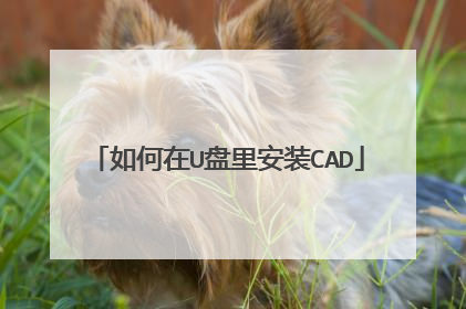 �����U���ﰲװCAD