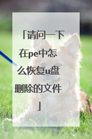 ����һ����pe����ô�ָ�u��ɾ�����ļ�