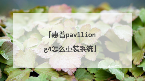 ����pavilion g4��ô��װϵͳ