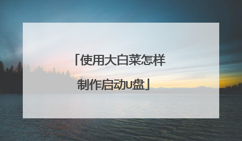 使用大白菜怎样制作启动U盘