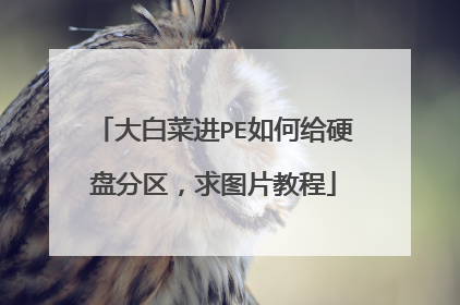 ��ײ˽�PE��θ�Ӳ�̷�������ͼƬ�̳�