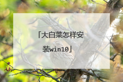 ��ײ�������װwin10