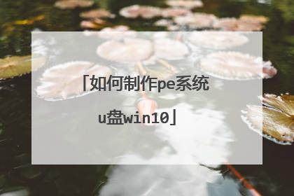 �������peϵͳu��win10