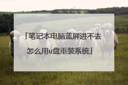 �ʼǱ�������������ȥ��ô��u����װϵͳ