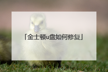 ��ʿ��u������޸�