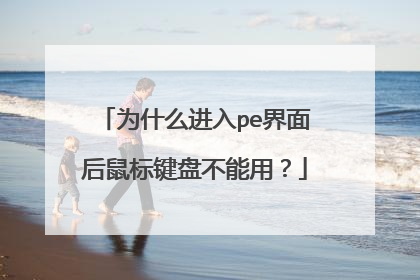 Ϊʲô����pe����������̲����ã�