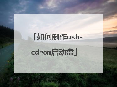 �������usb-cdrom������