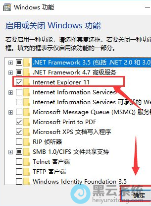 ��ѡInternet explorer11ѡ��