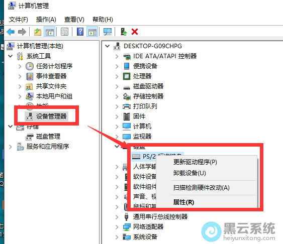 ѡ�������������