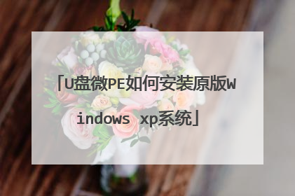 U��΢PE��ΰ�װԭ��Windows xpϵͳ