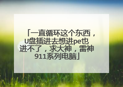 һֱѭ�����������U�̲��ȥ���peҲ�����ˣ����������911ϵ�е���