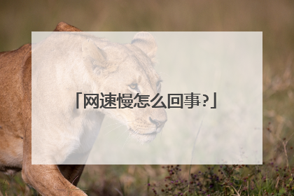 网速慢怎么回事?