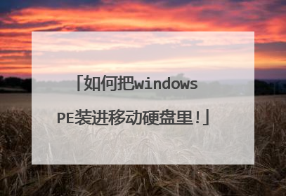 ��ΰ�windows PEװ���ƶ�Ӳ����!