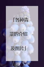 ������˵Ľ��ܼ�ͼƬ