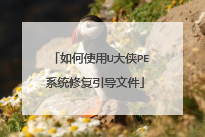 ���ʹ��U����PEϵͳ�޸������ļ�